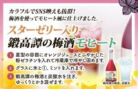 鍛高譚(たんたかたん)の梅酒[720ml]【12本セット】【白糠町】