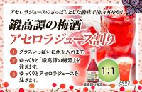 鍛高譚(たんたかたん)の梅酒[720ml]【12本セット】【白糠町】