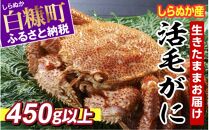 しらぬか産 活中サイズ毛がに【450g以上】-d