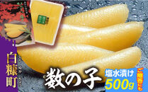 大手百貨店も扱う品質「塩数の子（塩水漬け）【500g】」おせち お正月 かずのこ 塩かずのこ つまみ 北海道 海鮮 人気 グルメ 食べ物 魚卵 魚 魚介 北海道 白糠町