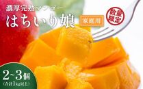 【数量限定/先行予約】マンゴー「はちいり（鉢入り）娘」（ご家庭用1kg箱入り）