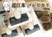 ◆実生庵の近江米【四季風流】精米5kg×3袋 滋賀県高島市産コシヒカリ 生産者直売100%