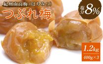 紀州南高梅　《つぶれ梅セット》　はちみつ梅　塩分8％（1.2キロ）