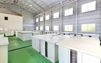 紀州南高梅　《つぶれ梅セット》　はちみつ梅　塩分3％（1.2キロ）