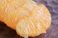 【2023年3月以降発送分】紀南の甘い蔵出し紅八朔 5kg L-2L玉