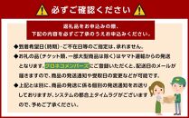 高級南高梅しそ漬梅400g入 紀州塗箱 網代模様仕上 【SW83】