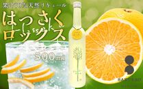 【はっさくロックス HASSAKU ROCKS】16度 500ml【サワー 柑橘 リキュール カクテル ソーダ 甘い 国産 広島 ギフト お取り寄せ 酒 お酒 中国醸造】