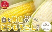 【先行予約】【旭川近郊産】白と黄色のとうもろこしセット　各5本（計3.5kg）(2025年8月上旬発送開始予定)【 白いとうもろこし 人気 北海道産 糖度 生 野菜 スイートコーン 産地直送 バーベキュー BBQ コーン 旬 お取り寄せ 旭川市 北海道 】_00094