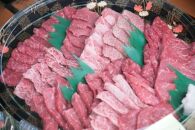 ＢＢＱペアチケット【ポイント交換専用】