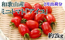 ［2月出荷分］ミニトマト「アイコトマト」約2kg（S・Mサイズおまかせ）［TM110］