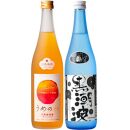 焼酎 黒潮波（くろしおなみ）720mlと紀州完熟南高梅「梅酒」720mlの2本セット【TM19】