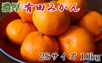【濃厚・秀品】和歌山有田みかん約10kg(2Sサイズ) ★2025年11月中旬頃より順次発送【TM80】