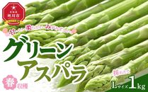 【先行予約】春収穫グリーンアスパラ Lサイズ 1kg(2025年6月上旬～発送開始予定) 【 アスパラ アスパラガス 朝採り とれたて 野菜 旬 小分け 保存 産直 産地直送 お取り寄せ 旭川市 北海道 】_00442