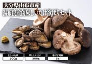【欲ばりセット】湯布院産 （生しいたけ500g+干ししいたけ300g+香ぼす胡椒）｜栽培期間農薬不使用