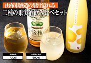 【小野酒造】果実酒 2種 計2本 飲み比べセット（豊後梅酒720ml・小野屋のゆず500ml）