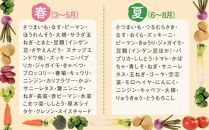 rk015　【年４回お届け】レシピ付き！ 年４回春夏秋冬の旬野菜１０品お届け定期便