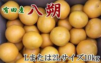 ［手選果］有田産の八朔10kg（Lまたは2Lサイズいずれかお届け）★2026年1月下旬より順次発送