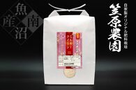 【令和6年産】南魚沼産 笠原農園米 ミルキークイーン 5kg