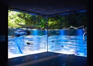 カワスイ 川崎水族館ペアチケット　