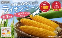 【先行予約】あさひやま動物園ライオンコーン約4kg(ゴールドラッシュ10本)2025年8月下旬～発送開始予定 【 とうもろこし 人気 北海道 糖度 野菜 スイートコーン 産地直送 ゴールドラッシュ コーン 旬 お取り寄せ 旭川市 北海道 】_00307
