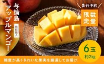 【数量限定】鹿児島 与論島アップルマンゴー特A秀品６個約2kg化粧箱入り【先行予約】