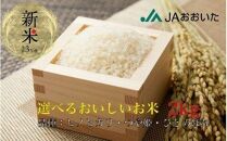 大分県産米お試し用2kg　ひのひかり