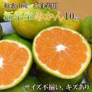 和歌山産 【極早生】みかん 10kg 【ご自宅用・サイズ不揃い・キズ等あり】【ヤマタ大谷商店】