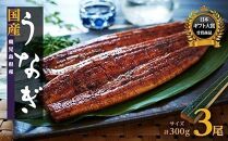 数量限定 鹿児島県産うなぎ長蒲焼3尾 約100g × 3尾 鰻 国産うなぎ蒲焼き たれ うな重 ひつまぶし ウナギ 蒲焼 人気 おすすめ ふるさと納税 鹿児島県 大崎町 A911