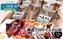 【訳あり】絶品！肉厚するめ烏賊一夜干したっぷり10尾（1.6kg以上） _1836R
