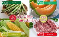 令和7年6月発送開始　かに太郎 定期便Oセット（アスパラ、赤肉メロン、ライオンコーン、ジンギスカン）全4回_01602
