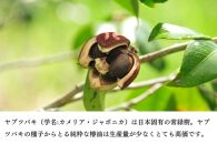 [雫-SHIZUKU]椿オイルの香り比べ3本セット [彩-IRODORI]