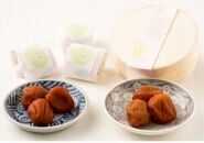 紀州産南高梅 梅ゆらら