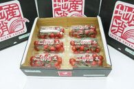 【先行予約】赤糖房（ミニトマト）【160ｇ×6パック】