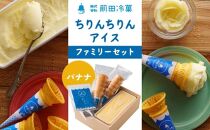 【AA062】前田冷菓 ちりんちりんアイス・ファミリーセット（コーン10個分付き）［バナナ］【ポイント交換専用】