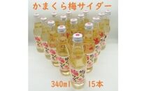 鎌倉酒販協同組合「かまくら梅サイダー15本」
