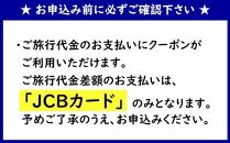 【糸満市】JCBトラベルふるさと納税旅行クーポン（30,000円分）※JCBカード会員限定