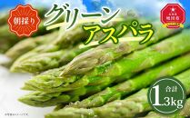 【先行予約】朝採り グリーンアスパラ L 1.3kg (2025年5月下旬発送予定) 【 アスパラ アスパラガス グリーンアスパラ 朝採り 直送 産地直送 旬 春 北海道 とれたて お取り寄せ 冷蔵配送 冷蔵 旭川市 】_01706