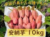 種子島産安納芋１０kg【安納芋 安納いも 焼き芋 焼芋 やきいも さつまいも スイーツ デザート おやつ 熟成 蜜 しっとり 甘い  鹿児島県 種子島 中種子町  種子島安納 N133】