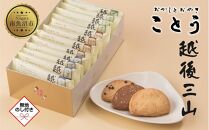 無地熨斗 越後三山 山のクッキー 各4枚 計12個 クッキー チョコチップ ココア 和菓子 洋菓子 お菓子 菓子 焼き菓子 セット 菓子詰合せ 詰め合わせ スイーツ ギフト おかしとおやき ことう 新潟県 南魚沼市