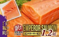 【訳あり】エンペラーサーモン【1.2kg】