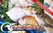 ※受付一時停止25.5.16※【定期便2回】創業100年の魚屋さんが選び抜いた旨い鮮魚直送便～