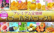 《ゴールドコースA》産直あきんど厳選フルーツ！魅惑の12回便