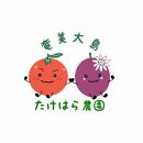 【2025年発送分 先行受付】パッションフルーツ 化粧箱12個入り(L玉)×6箱【たけはら農園】