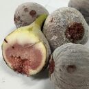 和歌山産 冷凍 いちじく　1.5kg（500g ×3袋）