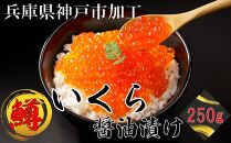 いくら 鱒いくら醤油漬け 250g