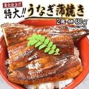 うなぎ蒲焼き2尾入り 480g（蒲焼たれ4袋 山椒付き）【KS5】