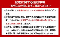 乾電池 BIGCAPA PRIME 単4形12本パック LR03BP／12P　8個セット