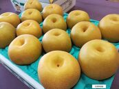 【先行受付】≪8～9月発送≫深澤果樹園さんの梨ギフト（幸水）5kg　